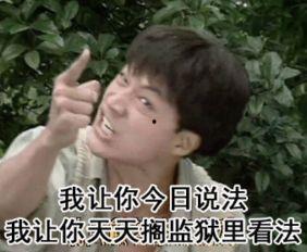 北京大哥最新爆料新闻,揭秘XX事件背后真相